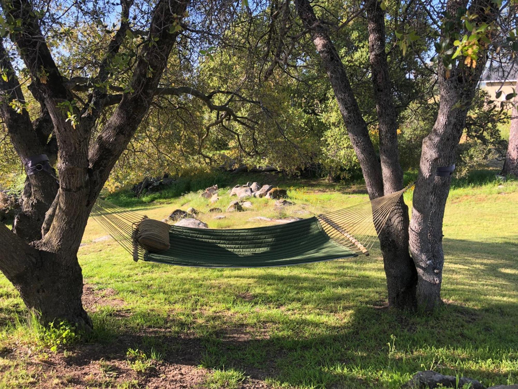 科斯戈尔德Oak Retreat By Yosemite National Park公寓 外观 照片